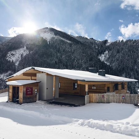 Alpenparks Chalet & Apartment Steve Lodge 菲霍芬 外观 照片